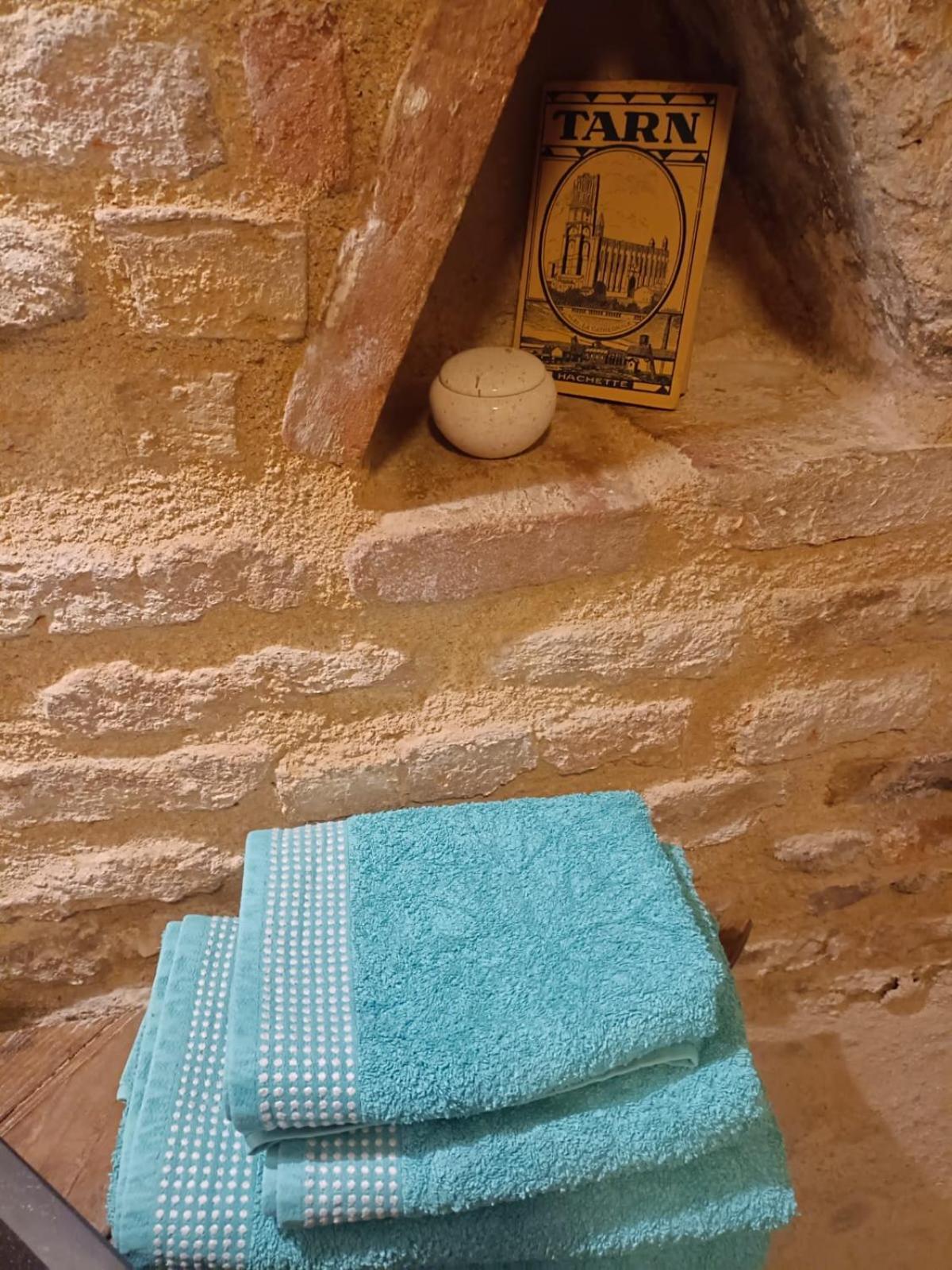 La Lauze Et L'Anguille Bed and Breakfast Gaillac Exteriör bild